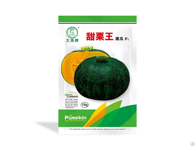 Chinese Pumpkin Seeds For Sale