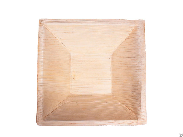 Deep Pyramid Bowl 25 Count Wholesale Pack