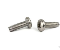 Thread Cutting Screws