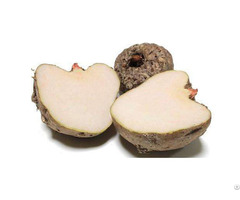 Konjac Ceramide