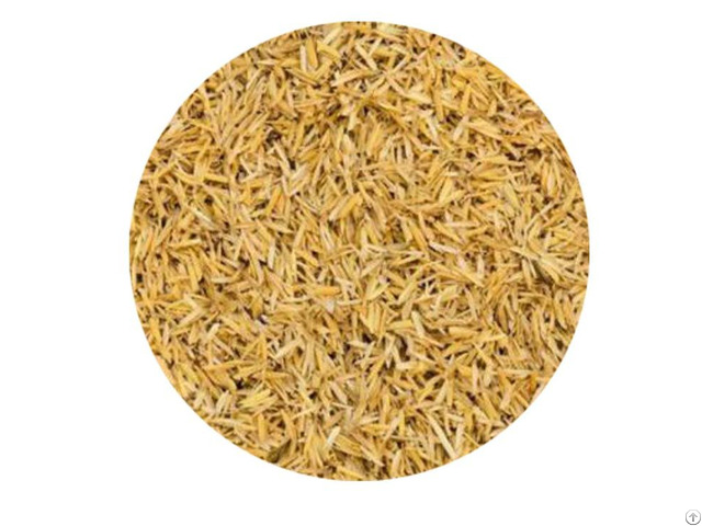 Rice Bran Ceramide