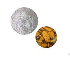 Anti Oxidant And