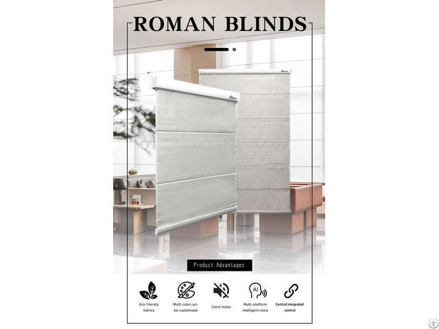 Motorized And Manual Roller Blinds Wholesale Favarable Prices