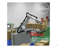 Collaborative Palletizing Robot