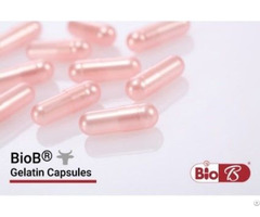 Gelatin Capsules