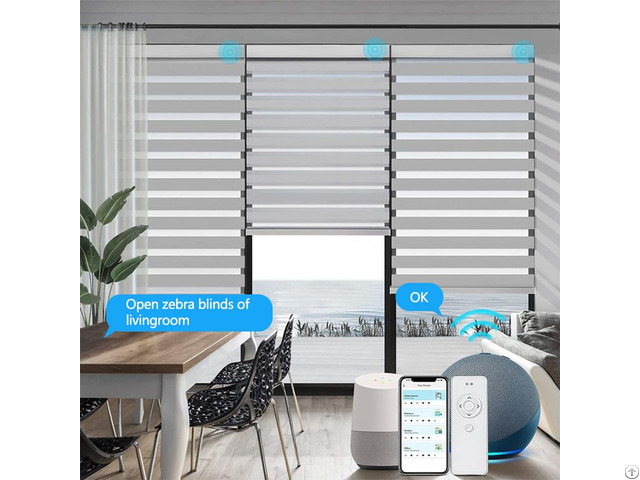 Home Decoration Luxury Double Layer Sunshade Shades Adjust Blackout Window Zebra Blinds