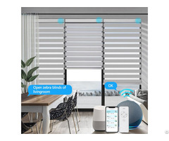 Home Decoration Luxury Double Layer Sunshade Shades Adjust Blackout Window Zebra Blinds
