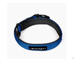 Pet Collars