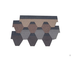 Mosaic Asphalt Shingle