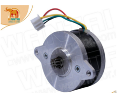 Wantai Stepper Motor 36byghm218