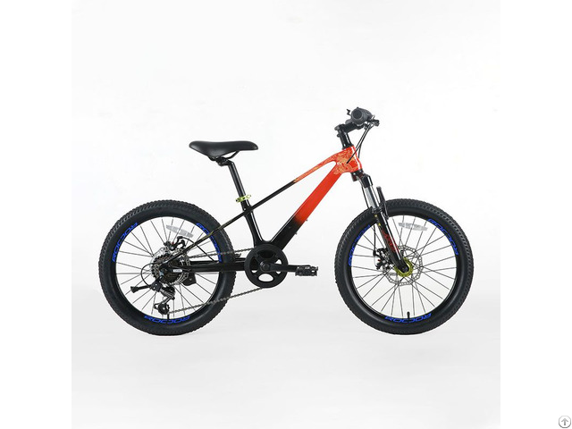 Children S Mountain Bike