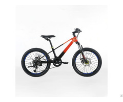 Children S Mountain Bike