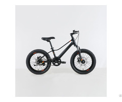 Children S Mountain Bike 24 Inch