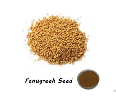 Fenugreek Seed Extract 40% 4 Hydroxyisoleucine