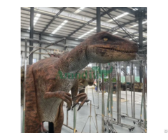 Dino Shows Realistic Velociraptor Costumes