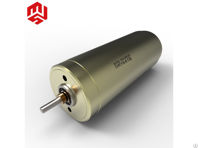 24v High Torque Long Lifetime Permanent Magnetic Coreless Brushed Dc Motor For Precision Instrument