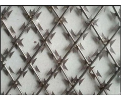 Pusheng Razor Wire Fence