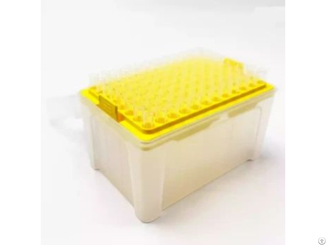 Pp Pipette Tips Supplier