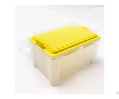 Pp Pipette Tips Supplier