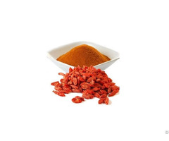 Hot Item Goji Berry Fruit Juice Powder