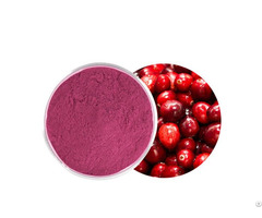 Cranberry Fruit Juice Powder