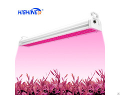 Hishine Group Pg01 Full Spectrum 200w Garden Greenhouses Led Grow Lights For Indoor Plants