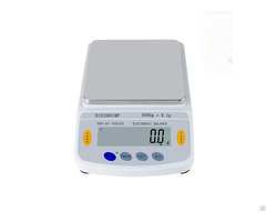 High Quality Electronic Balance Manufacturer