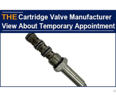 Hydraulic Cartridge Valve Manufacturer View About Temporary Appointment