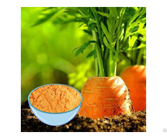 Dehydrated Carrot Powder