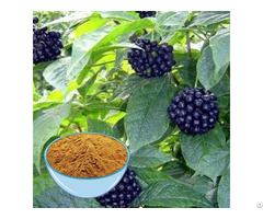 Eleuthero Extract