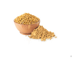 Fenugreek Seed Extract Powder