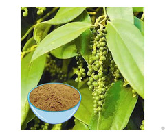 Black Pepper Extract Powder