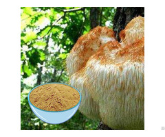 Buy Cheap Hericium Erinaceus Extract Powder