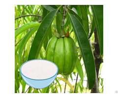 Popular Garcinia Cambogia Extract