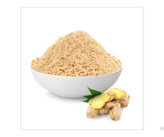 Ginger Extract Powder