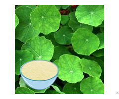 Gotu Kola Extract Powder