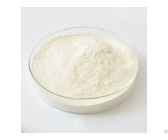 Buy Chondroitin Sulfate Sodium