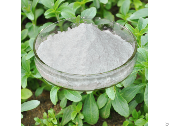 Buy Stevia Extract Powder