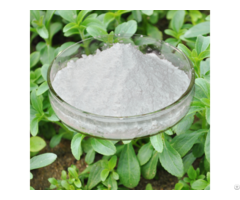 Buy Stevia Extract Powder