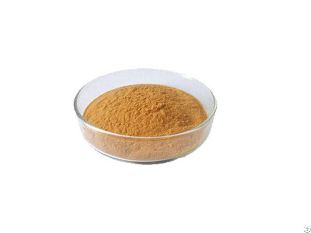 Inulin Extract