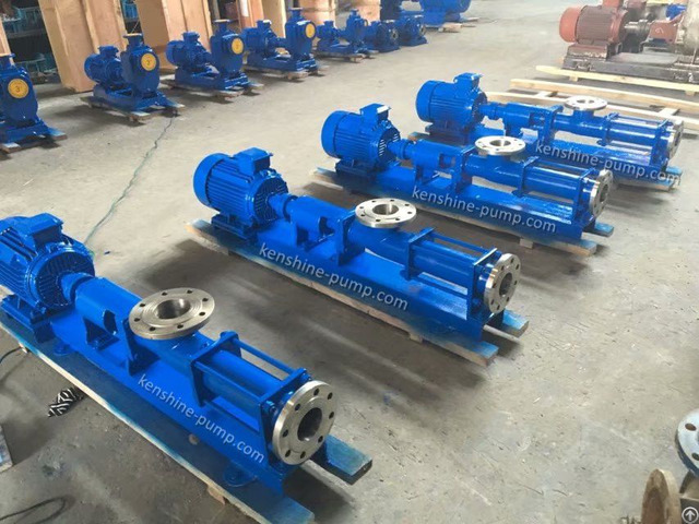 G Positive Displacement Progressive Cavity Pump