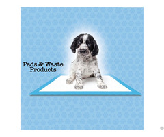 Pee Pads For Dogs Pet Training