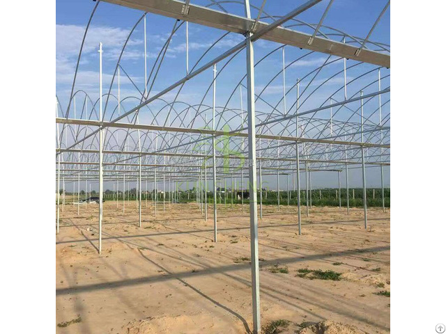 Multi Span Greenhouse