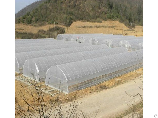 Tunnel Greenhouse