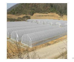 Tunnel Greenhouse