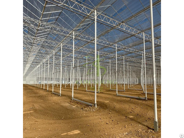 Venlo Glass Greenhouse