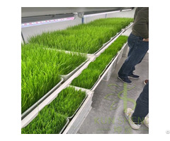 Hydroponic Fodder Container Farm