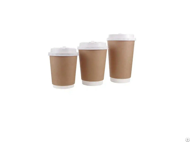 Double Wall Paper Cups 8 Oz