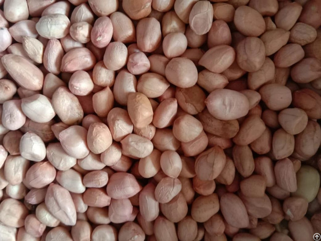 Peanuts Groundnuts