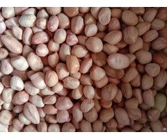 Peanuts Groundnuts